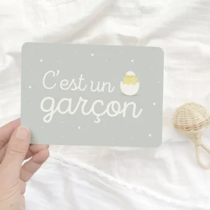 Carte C'est Un Garçon Zü