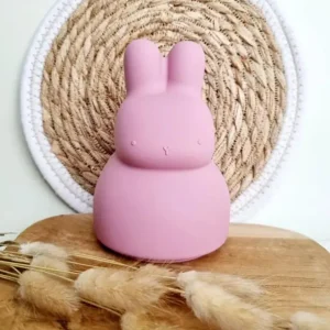 Tirelire Lapin Rose - Rammelaartje